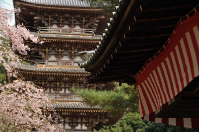 Daigoji temple