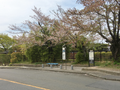 Nanzenji-Eikando-michi bus stop for Nanzenji